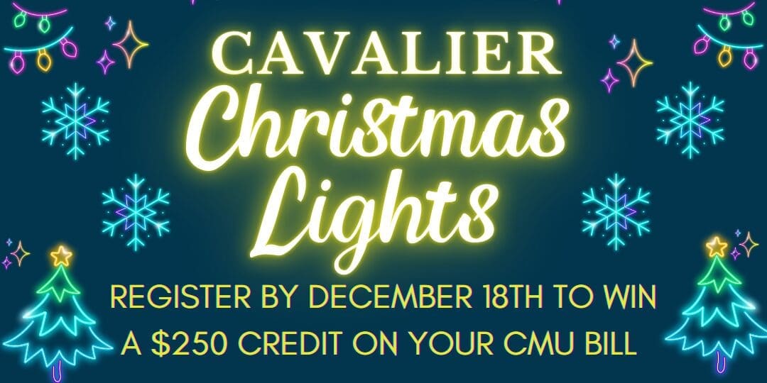 Christmas Lights SIGN